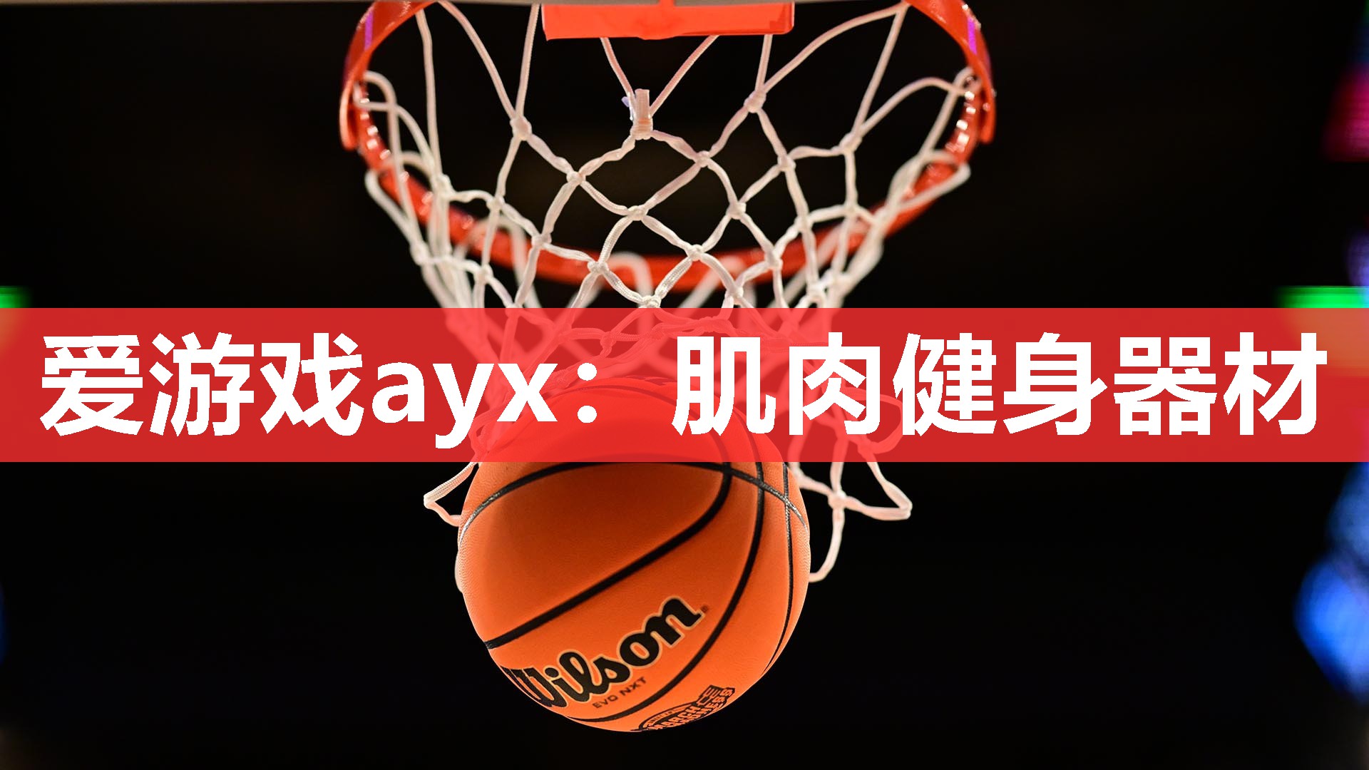 爱游戏ayx：肌肉健身器材