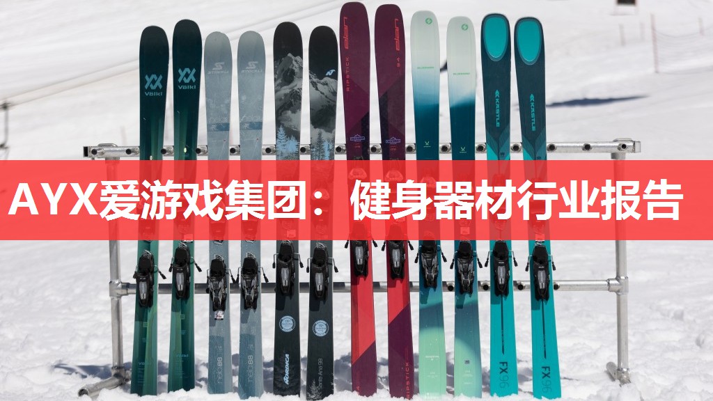 AYX爱游戏集团：健身器材行业报告