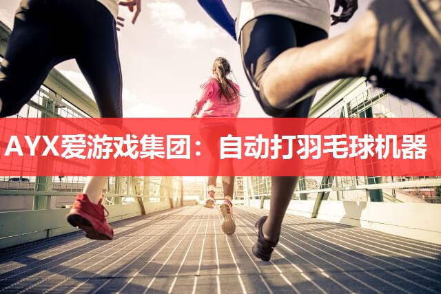 AYX爱游戏集团：自动打羽毛球机器