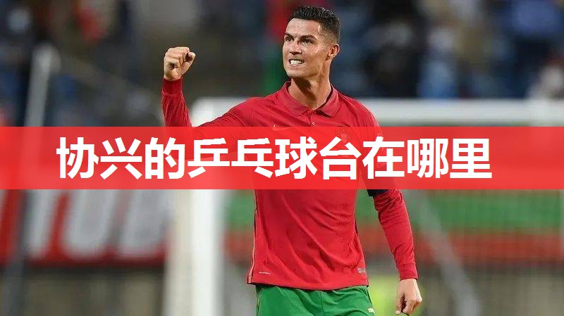 协兴的乒乓球台在哪里 协兴的乒乓球台在哪里