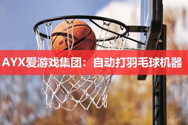 自动打羽毛球机器 自动打羽毛球机器